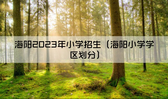 海阳2023年小学招生（海阳小学学区划分）